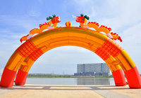 案例20